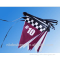 Triangle Colored Pennant Flags